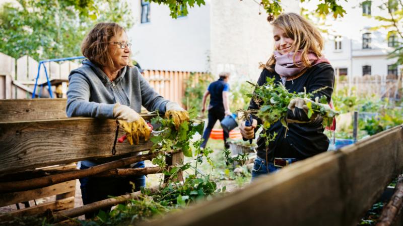Fantasztikus átalakulás küszöbén állunk: vajon ezek a különleges növények hódíthatják meg a városainkat? - Agrárszektor