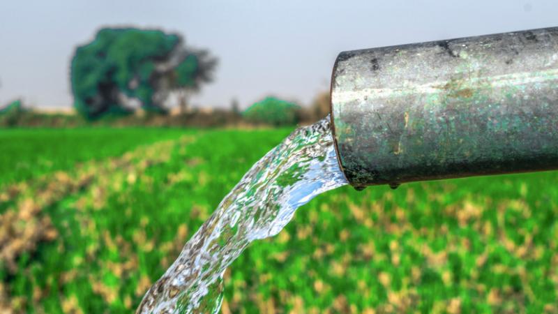 Együttműködés román partnerekkel: a gazdák számára kedvező fejlesztések - Agrárszektor