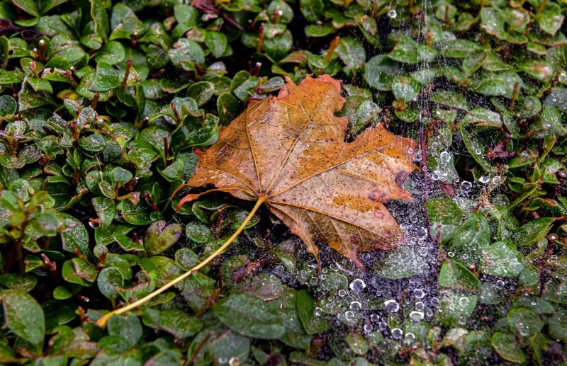 November első hetében érkezik az eső, és a hőmérséklet is csökkenni fog.