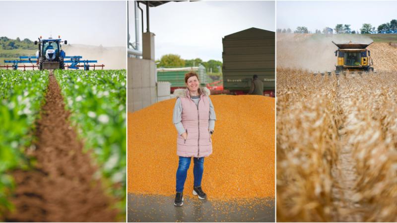 A KWS mátrix a gyakorlatban is bizonyította hatékonyságát! (x) - Agrárszektor