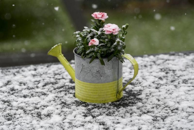 Jócskán megcsappan a hőmérséklet, és az előrejelzések már hózáporokat is jeleznek.