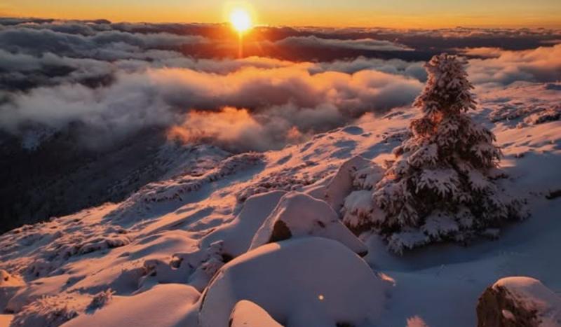A Kárpátok téli varázsa

A Kárpátok téli tája igazi csodaország, ahol a hópelyhek táncolva hullanak alá, és a fák ágai fehérbe öltöznek. A hegyek csúcsai büszkén emelkednek a felhők fölé, mintha őrzőiként vigyáznának a titkaikra. A havas erdőkben a csende