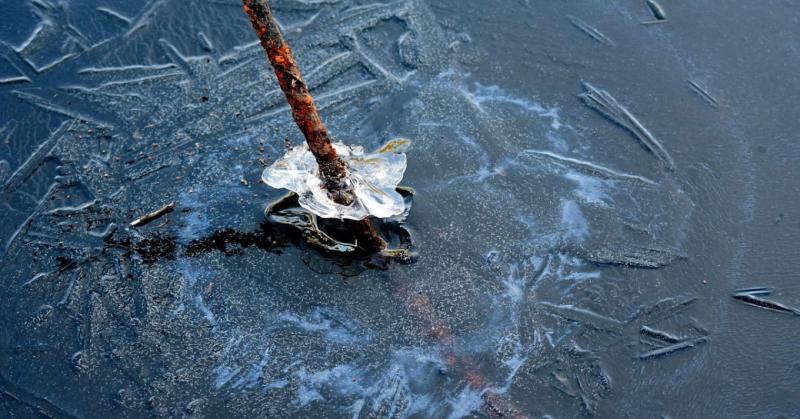 **Kerti tó levegőztetése télen - Tippek a halak védelmére**

A téli hónapokban a kerti tavak különleges kihívások elé néznek, és a megfelelő levegőztetés kulcsszerepet játszik a halak egészségének megőrzésében. Az alábbiakban néhány hasznos tanácsot oszto