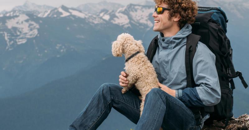 Dél-Tirol festői tájain, ahol a hegyek ölelésében a napfény táncol a réteken, egy különleges kutya kalandjai bontakoznak ki. E kis négylábú barát a zöldellő völgyek és a magas csúcsok között barangolva felfedezi a régió titkait. Az őszinte kutyatekintet é
